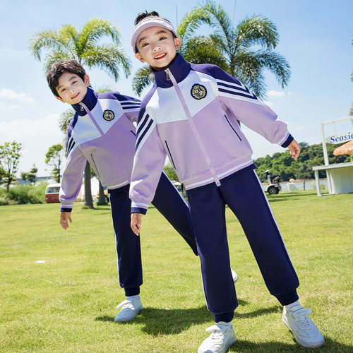 中大童紫色校服儿童班服小学生春秋运动会服装幼儿园园服一二年级