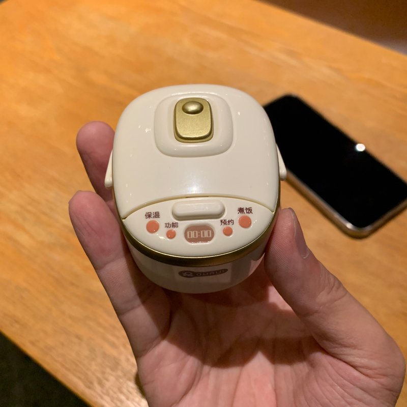 迷你电饭煲会喷雾加湿器过家玩具