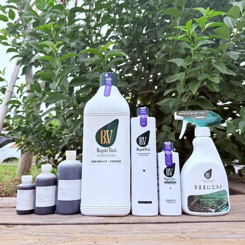 中国记忆日本B.V天然植物活力液