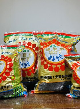 中国记忆万年青协会君子松柏兰花