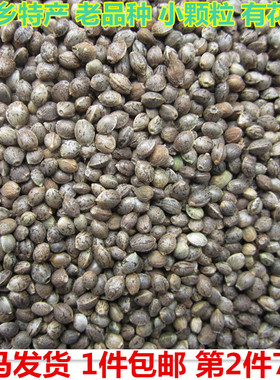 广西巴马特产火麻仁小颗粒火麻子花麻籽带壳1斤脱壳半斤第2件七折