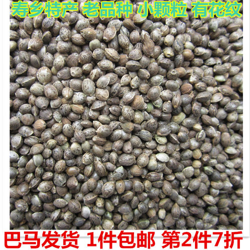广西巴马特产花500克包邮火麻仁