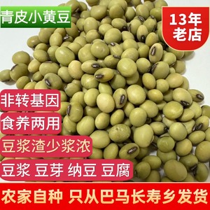 巴马特产青皮大豆椭圆形老品种绿皮黄豆青豆五谷杂粮豆浆渣少浆浓