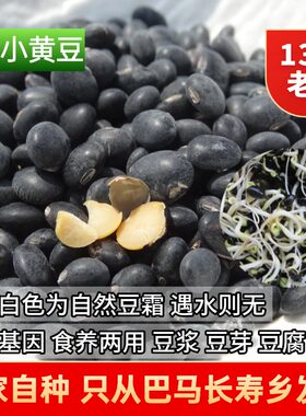 农家乌豆黑豆黄豆马料豆500g