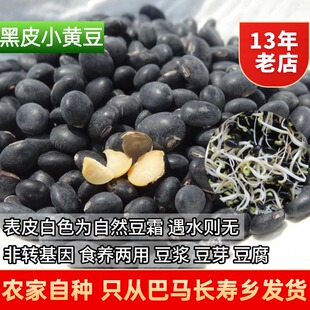 巴马特产扁乌豆小黑豆黑黄豆马料豆老品种白霜黑豆椭圆形农家自种