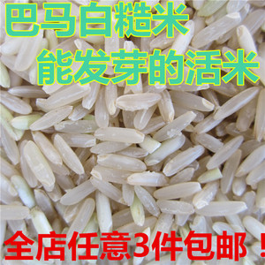发芽糙米胚芽活米留胚米石山冷泉灌溉五谷粗粮能熬米油 500克新米