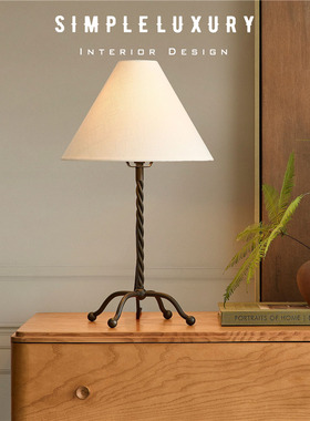 Pierce & Ward Twisted 设计师合作限定 亚麻铁艺 客厅卧室台灯