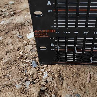 议价贝塔斯瑞β3 EQ2231均衡器，拆机电路板，18