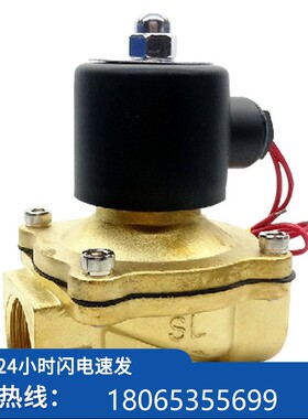 议价直 电磁阀2W25025 AC220 V 电磁阀 2-W-250-251销寸现货