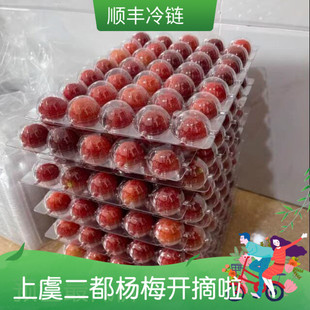 上虞正宗二都杨梅4斤真山粉红种新鲜杨梅农家自产自销顺丰冷链