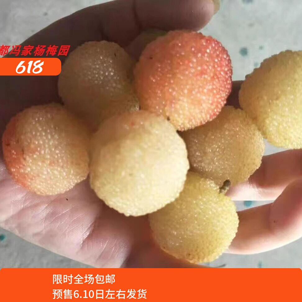 慈禧贡品-2026浙江上虞正宗二都杨梅水晶杨梅白沙杨梅新鲜白杨梅