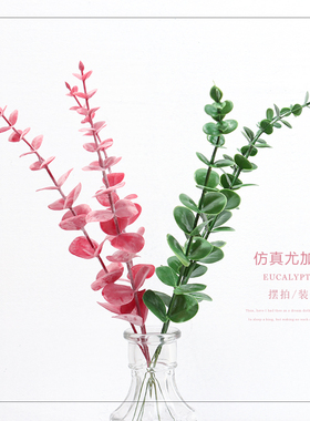 ins风尤加利仿真花拍照道具直播美甲摆件饰品装饰拍摄影假花背景