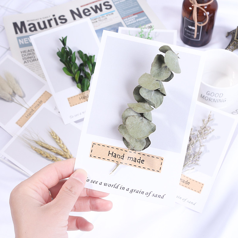 ins植物干花卡片麦子兔尾草卡片拍照道具摆件复古背景花拍摄道具