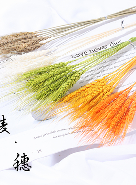 麦穗干花摆件天然拍摄道具摄影