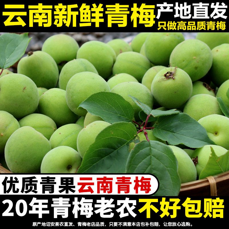 青梅鲜果新鲜现摘青竹梅照水梅胭脂梅子泡青梅酒酵素梅汁梅露酸梅