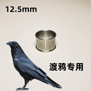 不锈钢开口鸟环文字定制大口径鸟环大型鸟可用