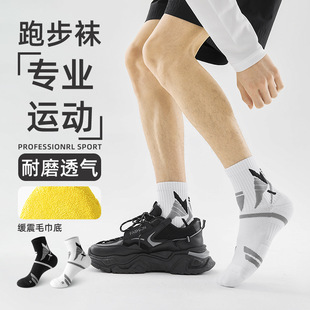 专业运动袜子男款秋冬季纯棉中筒袜毛巾底加厚马拉松跑步男士长袜