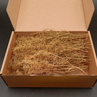 微景沙盘模型刺藜 灌木丛 军事铁路道路兵人场景diy仿真树