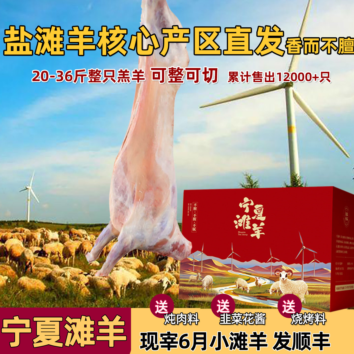 羊肉新鲜宁夏整只滩羊