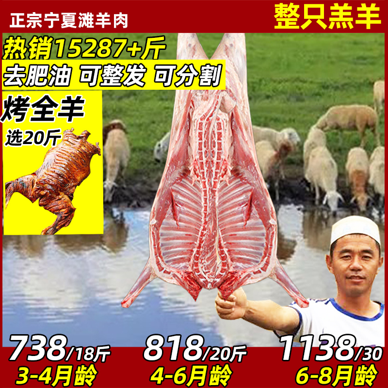 宁夏滩羊全羊整只羊肉新鲜现杀滩羊肉烤全羊整羊非内蒙古盐池新疆 水产肉类/新鲜蔬果/熟食 生羊肉 原图主图