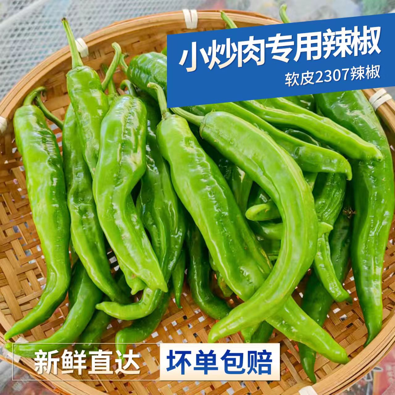 湖南特产2307辣椒微辣皮薄青辣椒湖南小炒肉专用新鲜辣椒现摘现发