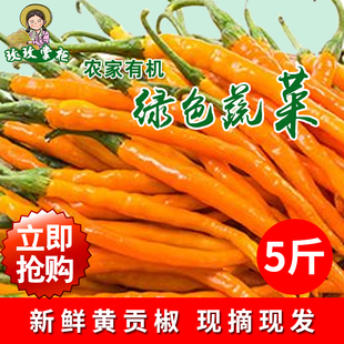 湖南衡东土特产三樟新鲜辣椒黄贡椒新鲜黄辣子土辣椒现摘现发5斤