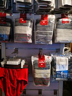 多色 正品 男 六条装 打底男01171514 佐丹奴纯棉三角内裤