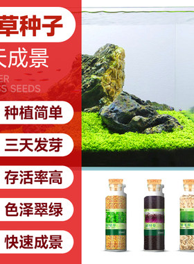 鱼缸水草植物造景绿植真水草种子