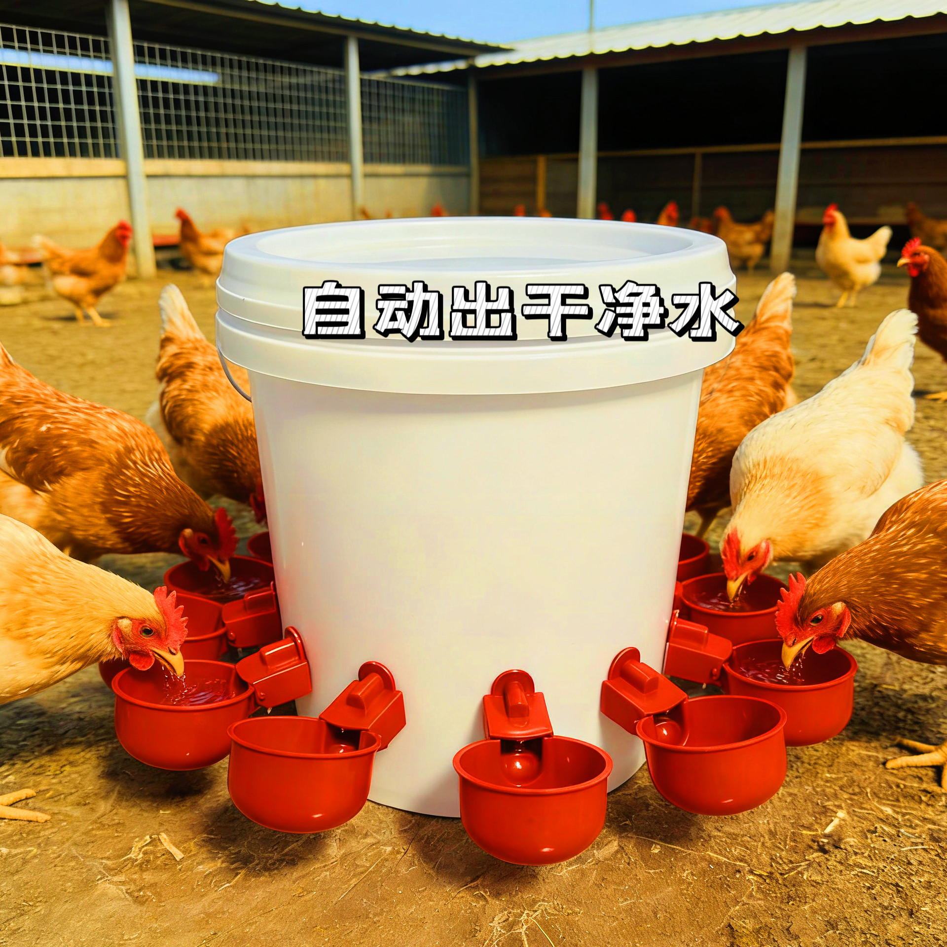 家禽自动饮水器鸽子养鸡专用水壶新款鸭子鹅喂鸡自动饮水器饮水碗