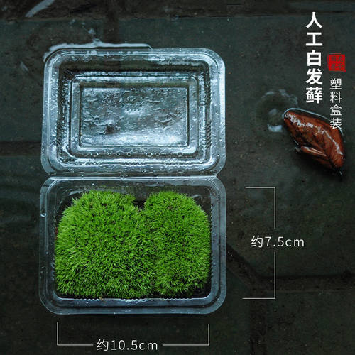 青苔植物假山装饰生态瓶