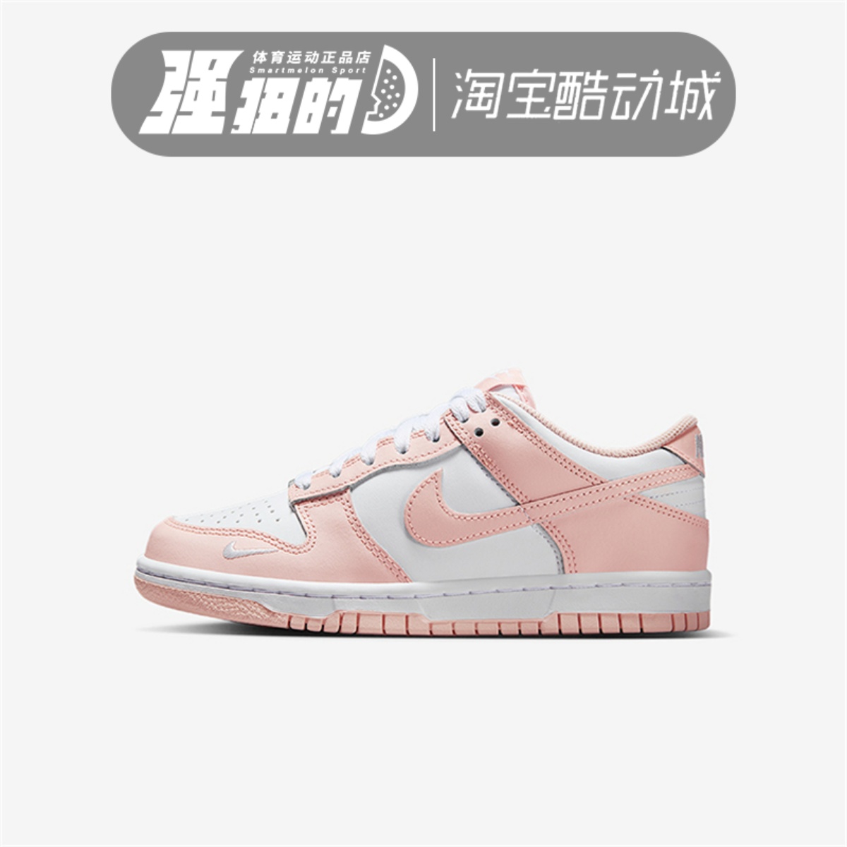NIKE耐克DUNK LOW GS大童低帮潮流复古运动休闲板鞋 IF6172-100