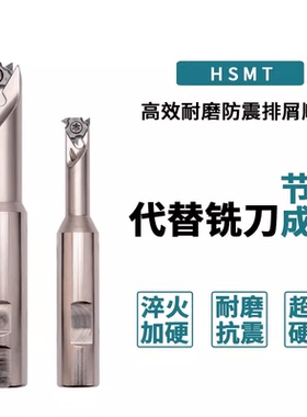 HSMT螺纹铣刀杆加工中心T型螺纹刀杆 SR0012J11 内冷单刃挑牙刀