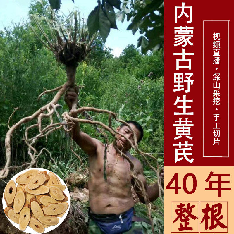 40年黄芪内蒙古大片正宗中药材正品黄氏当归党参泡水可整根