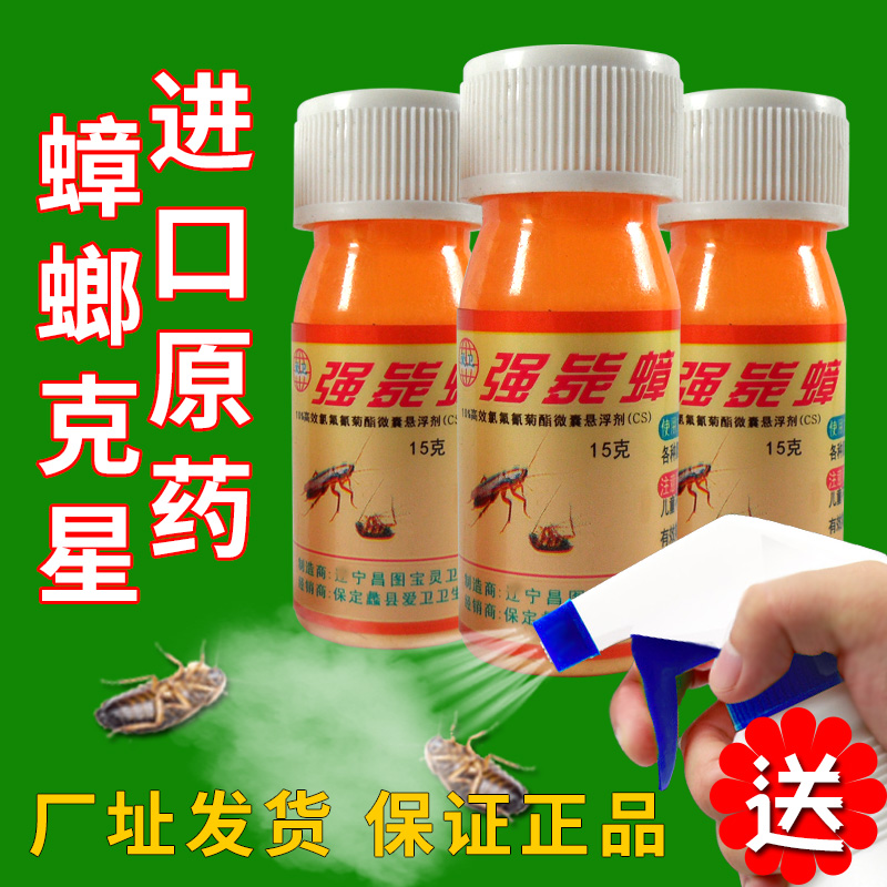 蟑螂全窝端长效杀虫剂