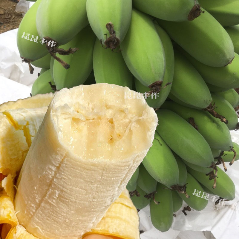 胖嘟嘟香蕉 正宗苹果蕉 5斤装 无催熟剂 需放熟食用 包邮