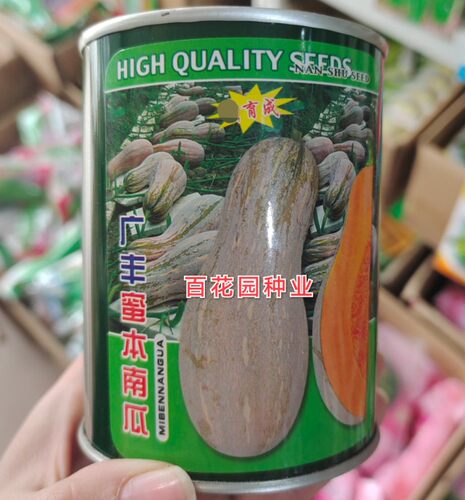 南蔬广丰蜜本南瓜种子瓜形美观瓜肉橙红色肉厚春秋大田蔬菜种籽
