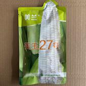 美兰美玉27号加甜糯玉米种籽高产春秋大棒非转基因加甜糯白玉米种