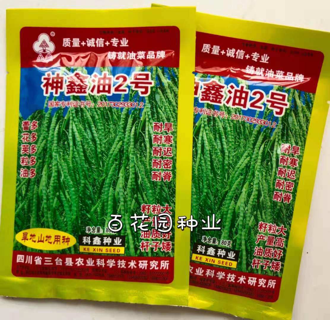 神鑫油2号杂交油菜种籽榨油用 油菜花种子新品种矮秆出油率高包邮