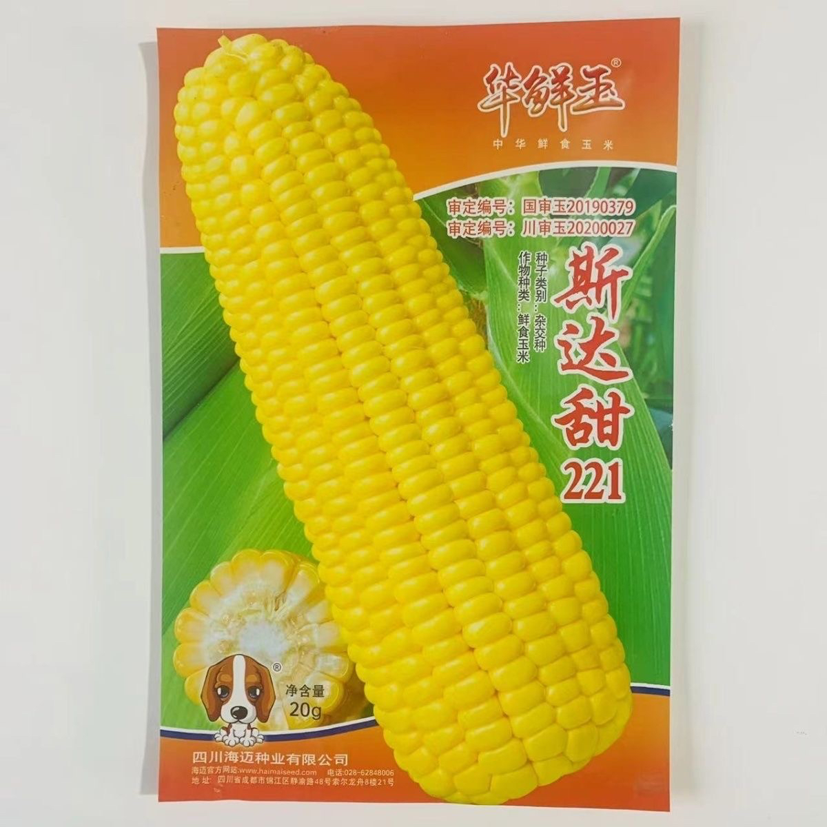 斯达甜221水果玉米种子可生吃皮薄无渣多汁非转基因玉米种孑