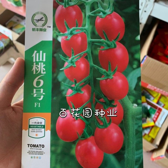 仙桃6号千禧种子无限生长型小番茄圣女果种籽农家优质果蔬种孑,农用物资,蔬菜种子/种苗,淘宝优惠券,粉丝福利购,淘宝优惠卷