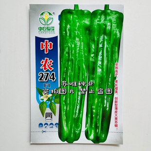 中农274 薄皮泡椒苏椒五号品种褶皱美观皮薄口感清脆辣味浓春秋种