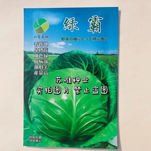 四季良种绿霸圆球甘蓝种子浓绿抗病甘蓝种子春秋基地专用