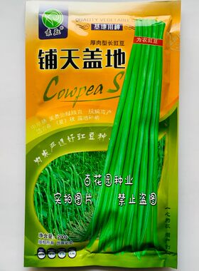 铺天盖地豇豆种子抗病高产特长豆角种籽翠绿色春夏秋基地种植专用