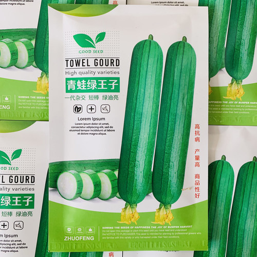 青蛙绿王子短棒油皮丝瓜种籽早熟高产春秋绿油丝瓜油亮2号丝瓜种