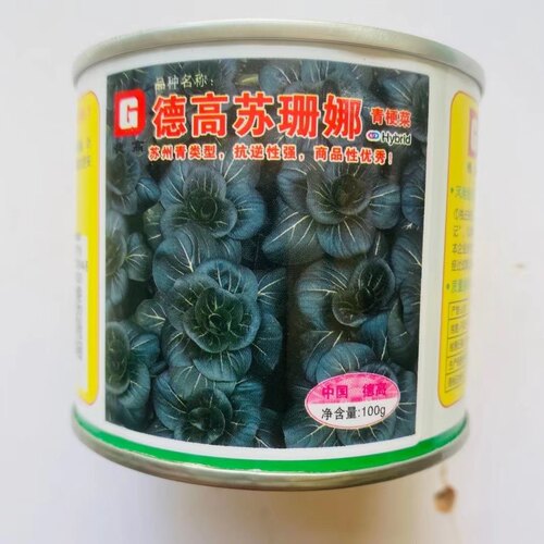 德高苏珊娜种子矮萁苏州青类型黑叶亮绿秋青菜耐寒湿太湖蔬菜种孑