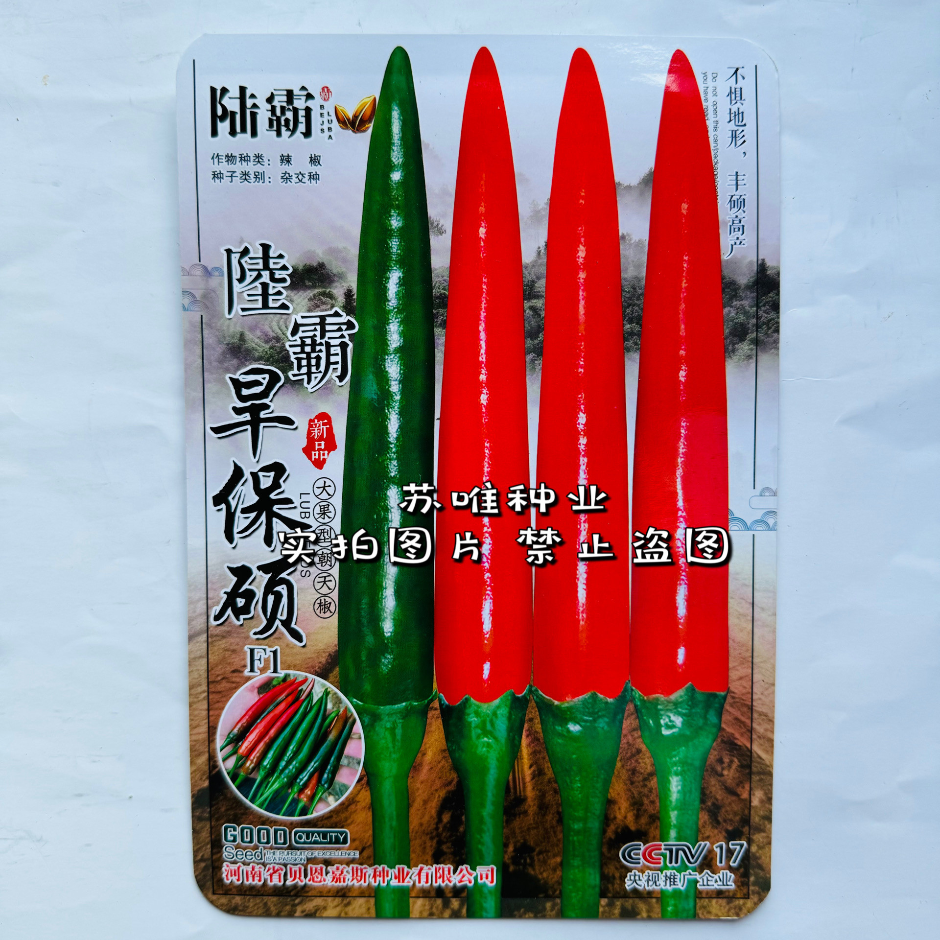 陆霸旱保硕朝天椒种子速生高产肉厚辣椒种籽基地种植辣味香浓抗病