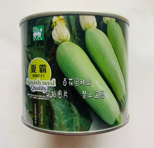 夏霸西葫芦种子早熟高产耐热抗病毒西胡芦种籽孑占瓜种子春秋夏播