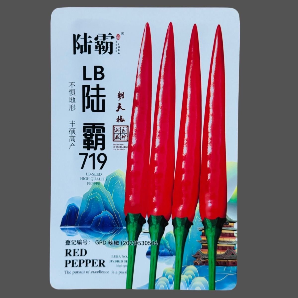 陆霸719 大果朝天椒种子超辣蔬菜种子/种苗