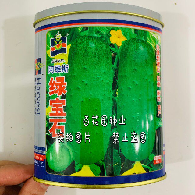蓟农绿宝石水果黄瓜种子口感好早熟高产抗病农家春秋播种精选瓜种