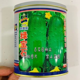 蓟农绿宝石水果黄瓜种子口感好早熟高产抗病农家春秋播种精选瓜种